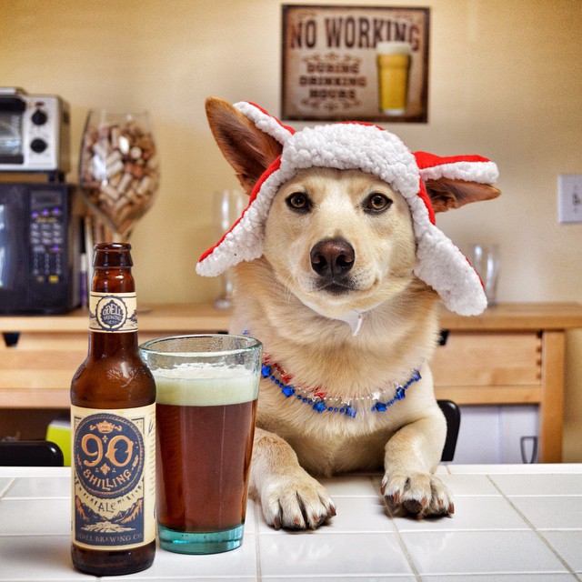 18 причин, доказывающих, что иметь собаку проще, чем встречаться с девушкой собаки лучше девушек, иметь собаку проще чем встречаться с девушкой