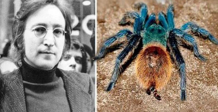 животные открытые в 2015 году, животные открытые в этом году