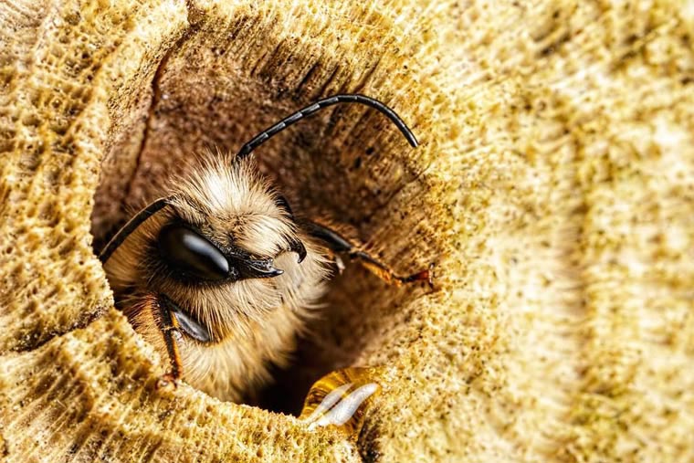 Порция потрясающих работ с фотоконкурса National Geographic Photo Contest 2015 National Geographic Photo Contest 2015