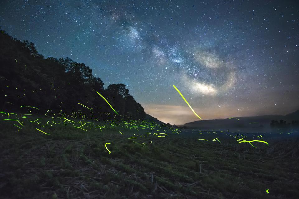 Порция потрясающих работ с фотоконкурса National Geographic Photo Contest 2015 National Geographic Photo Contest 2015