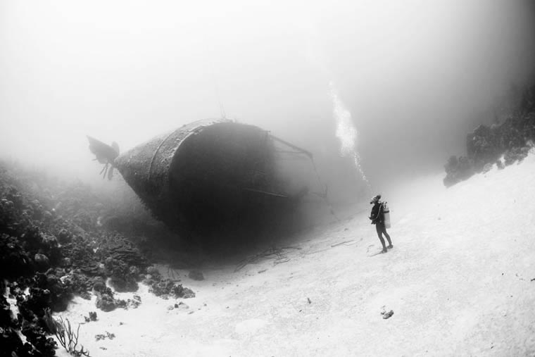 Порция потрясающих работ с фотоконкурса National Geographic Photo Contest 2015 National Geographic Photo Contest 2015