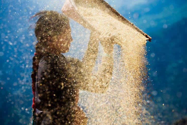 Порция потрясающих работ с фотоконкурса National Geographic Photo Contest 2015 National Geographic Photo Contest 2015