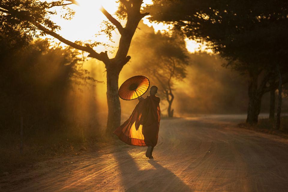 Порция потрясающих работ с фотоконкурса National Geographic Photo Contest 2015 National Geographic Photo Contest 2015