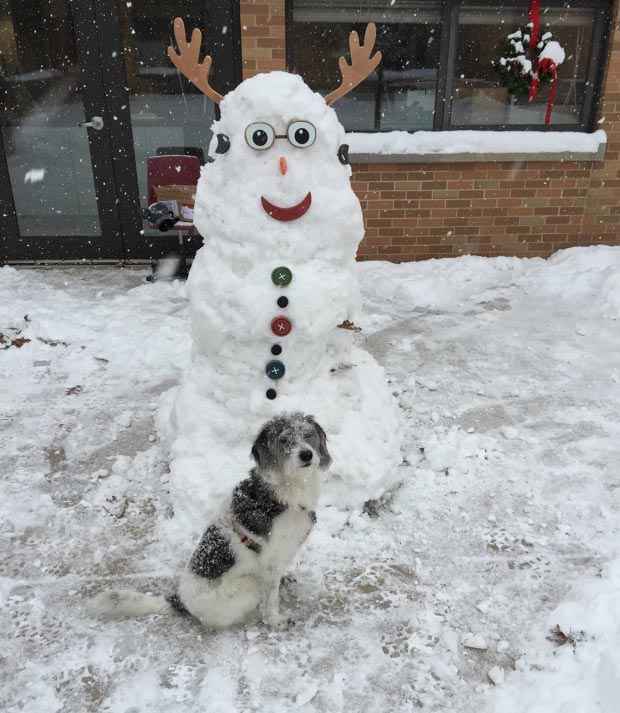 список желаний умирающей собаки, список желаний смертельно больной собаки, список желаний собаки больной раком