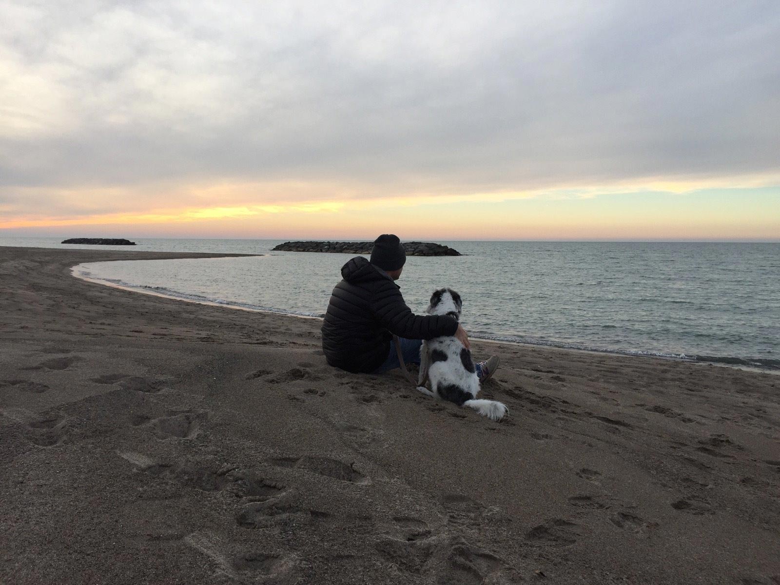 список желаний умирающей собаки, список желаний смертельно больной собаки, список желаний собаки больной раком
