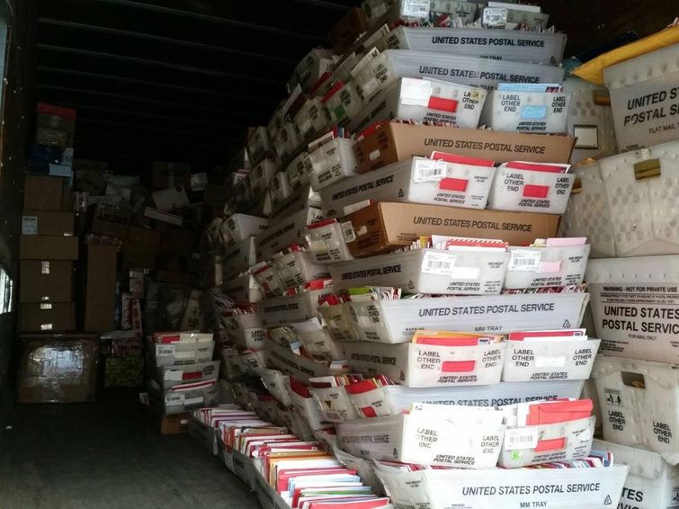 Сафайр Терри, Safyre Terry, обгоревшая девочка рождественские открытки, обгоревшая девочка получила рождественские открытки