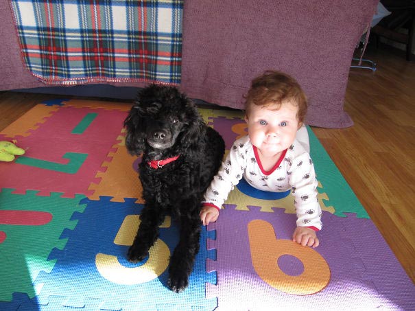 дети которые считают себя животными 