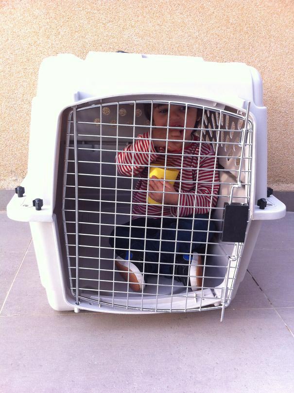 дети которые считают себя животными 