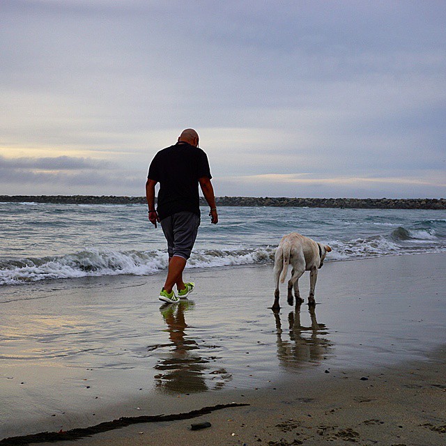 poh the dog? парень отправился в путешествие с больной собакой, собака По