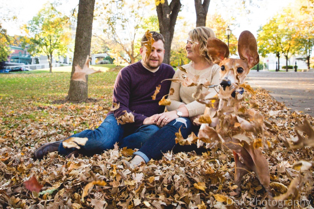 Такса испортила романтическую фотоссесию своих владельцев, такса зафотобомбила своих владельцев