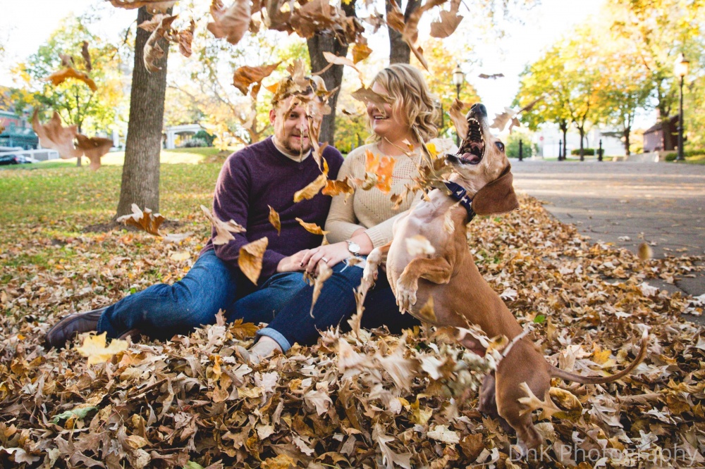 Такса испортила романтическую фотоссесию своих владельцев, такса зафотобомбила своих владельцев