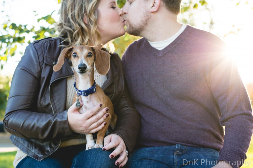 Такса испортила романтическую фотоссесию своих владельцев, такса зафотобомбила своих владельцев