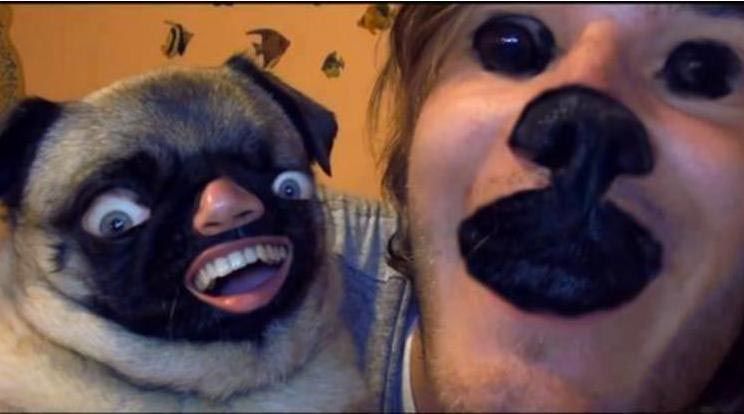 страшные фотографии, вещи из ночных кошмаров, жуткие животные