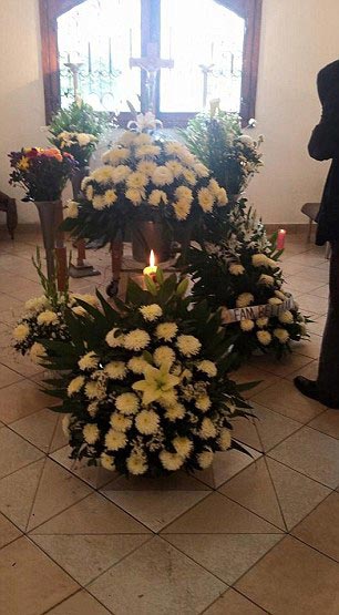 Маргарита Суарес , бездомные собаки пришли на похороны, собаки пришли на похороны женщины, собаки пришли проводить умершую женщину