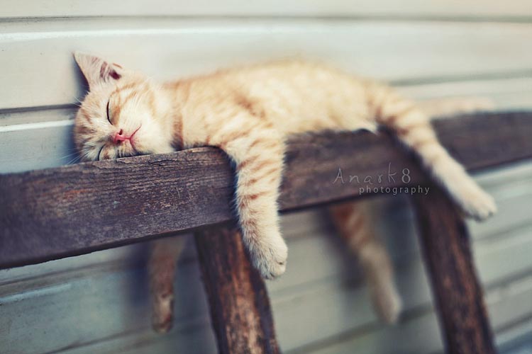 как стать счастливее, счастье есть