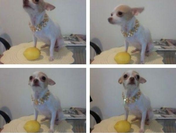 Веселые родители, которые покажут вам как надо отрываться и троллить своих детей родители отрываются, родители троллят детей, родители шутят над детьми, родители тролли