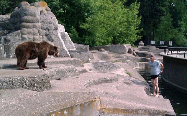 Медведь ударил по лицу на снегоходе фото лица