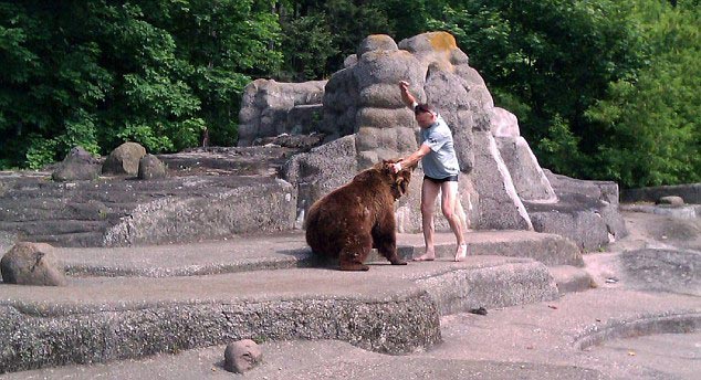 парень забрался в вольер к медведю, парень подрался с медведем, подрался с медведем польша зоопарк, парень вольер медведь варшава зоопарк