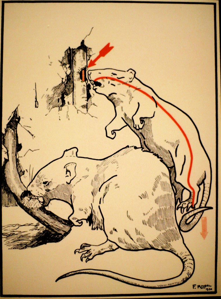 смерть от удара током, способы умереть от удара током, Elektroschutz in 132 Bildern, Стефан Еллинек, Stefan Jellinek