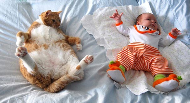 Кошка и ребёнок: опасен ли питомец для малыша?