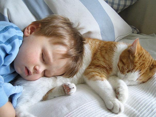 дети и коты, ребёнок и кот, kids with cats