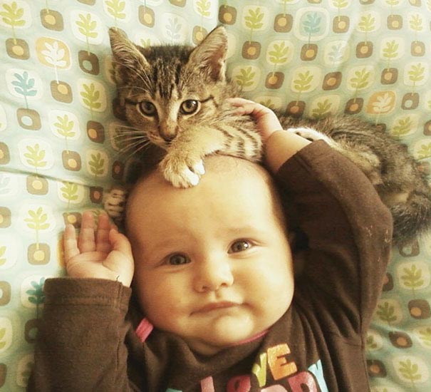 дети и коты, ребёнок и кот, kids with cats