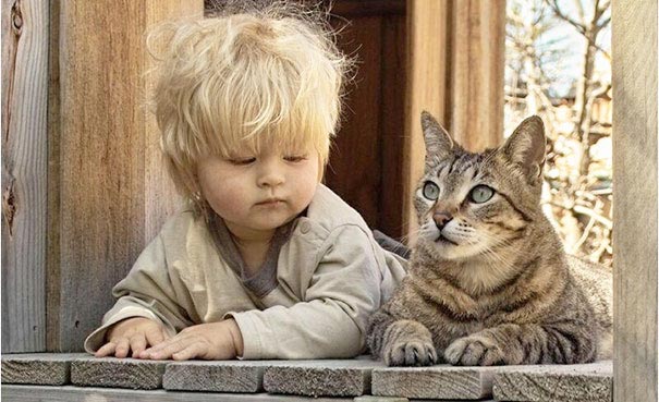дети и коты, ребёнок и кот, kids with cats