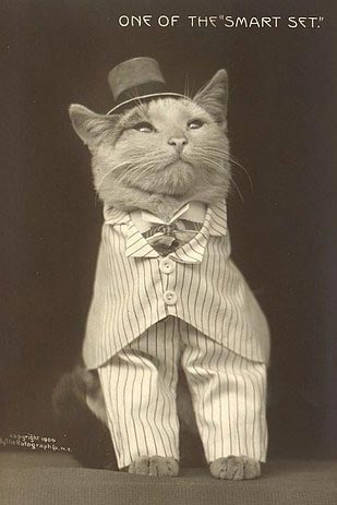 винтажные коты, коты ретро, коты викторианской эпохи