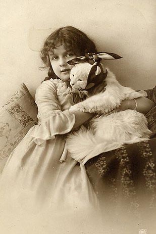 винтажные коты, коты ретро, коты викторианской эпохи