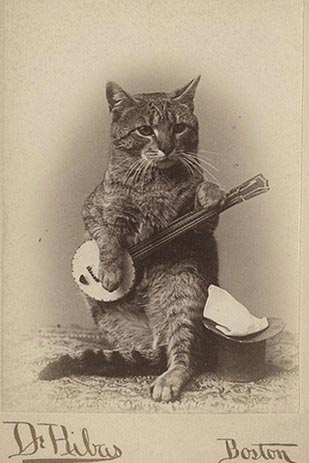 винтажные коты, коты ретро, коты викторианской эпохи