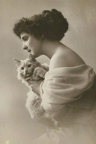 винтажные коты, коты ретро, коты викторианской эпохи