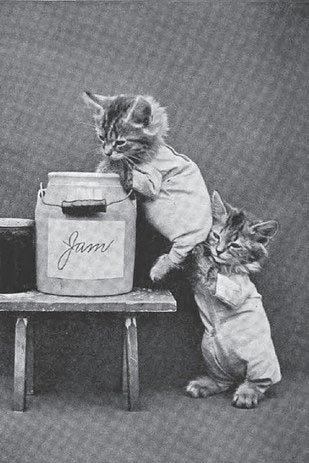 винтажные коты, коты ретро, коты викторианской эпохи