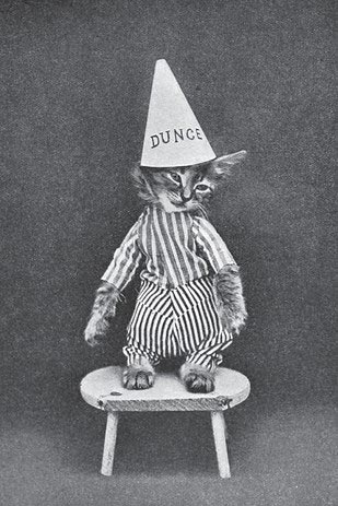 винтажные коты, коты ретро, коты викторианской эпохи