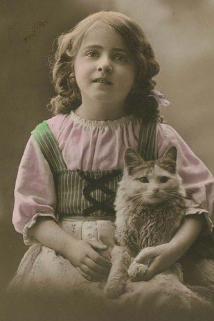 винтажные коты, коты ретро, коты викторианской эпохи