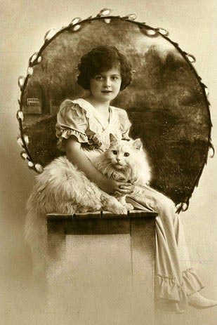 винтажные коты, коты ретро, коты викторианской эпохи