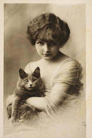 винтажные коты, коты ретро, коты викторианской эпохи