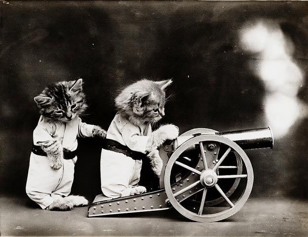винтажные коты, коты ретро, коты викторианской эпохи