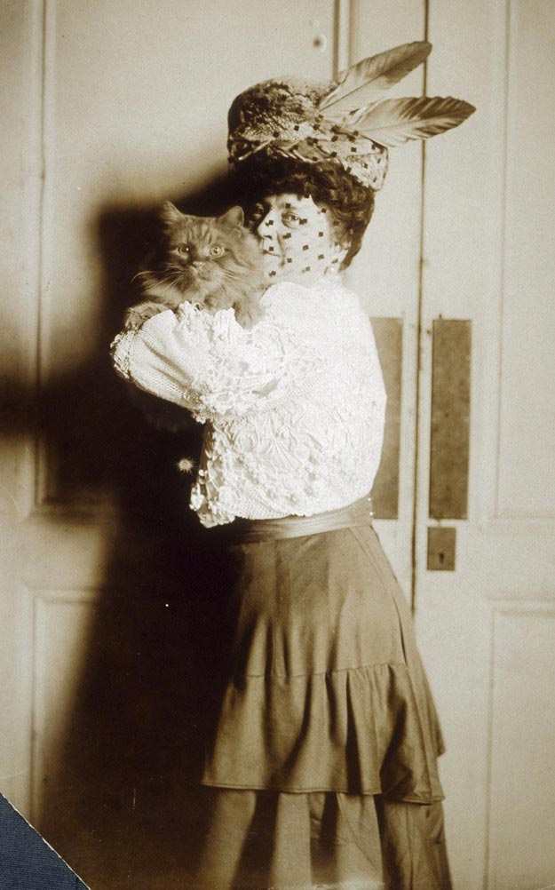 винтажные коты, коты ретро, коты викторианской эпохи