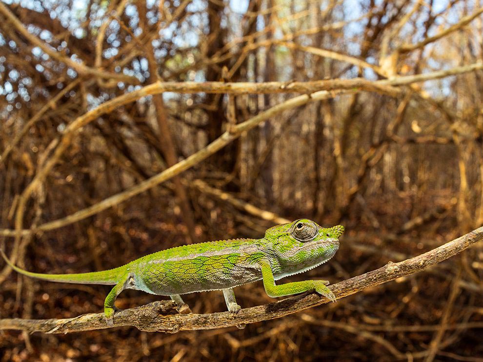 National Geographic за сентябрь 2015