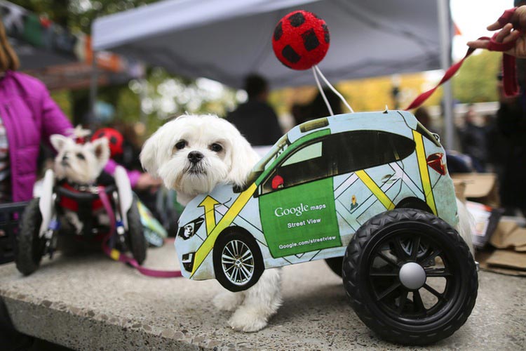 мощные фотографии, самые мощные фотографии недели, обо всём на свете