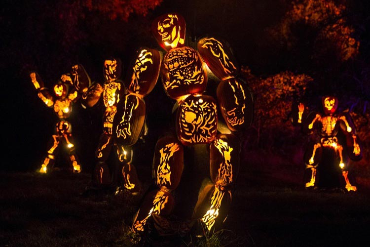 мощные фотографии, самые мощные фотографии недели, обо всём на свете