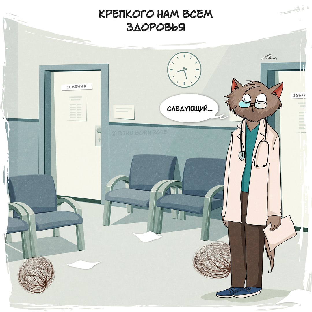 В новом году мы желаем вам… Bird Born, в новом году мы желаем вам