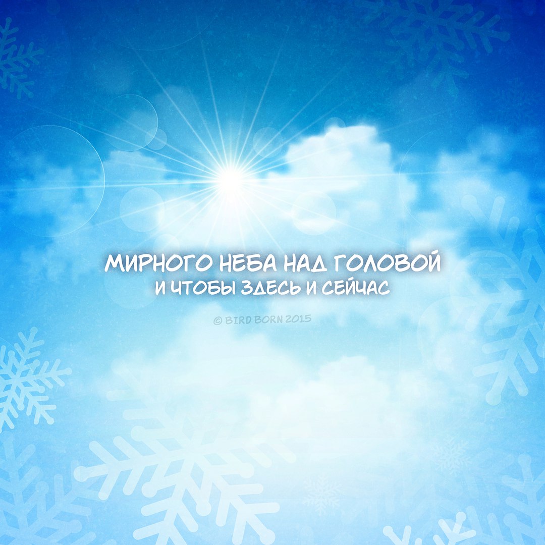 В новом году мы желаем вам… Bird Born, в новом году мы желаем вам