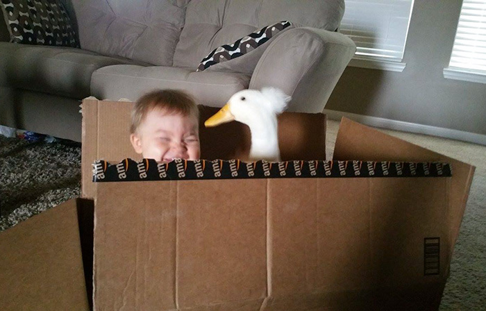 Утка стала няней маленькому мальчику, утка Бика