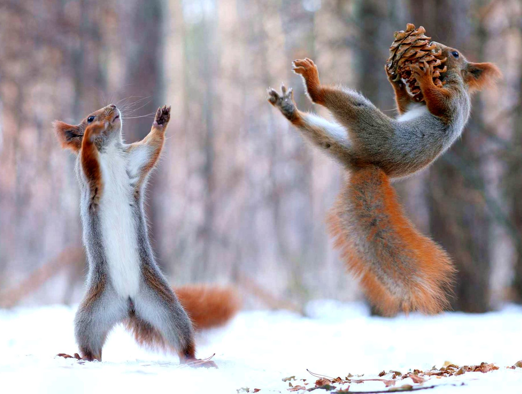 фотографии без фотошопа, мир без фотошопа