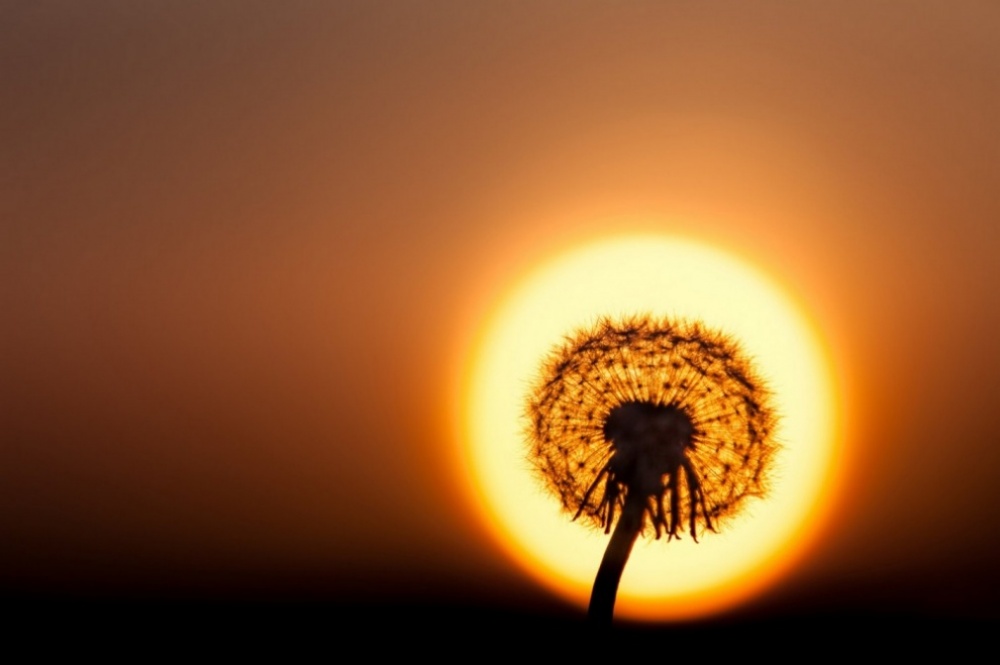 фотографии без фотошопа, мир без фотошопа