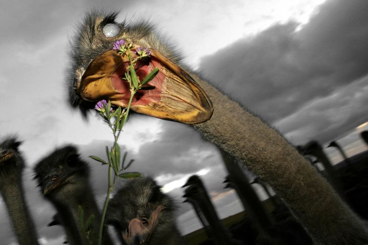 фотографии без фотошопа, мир без фотошопа