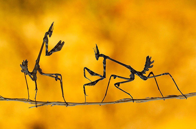 фотографии без фотошопа, мир без фотошопа