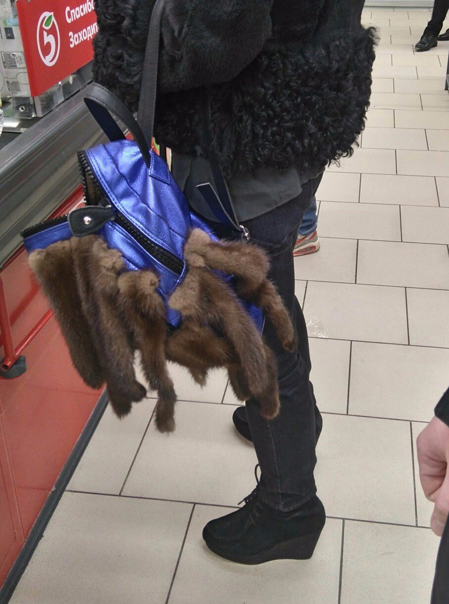 странная мода петербургских улиц, модники питера