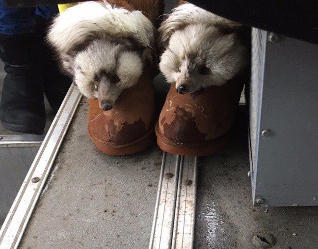 странная мода петербургских улиц, модники питера